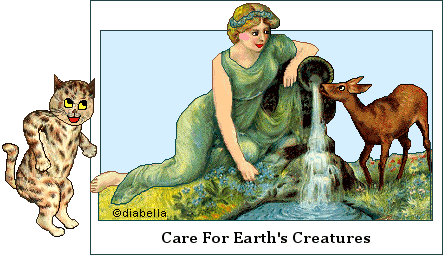 Care for earth's creatures
