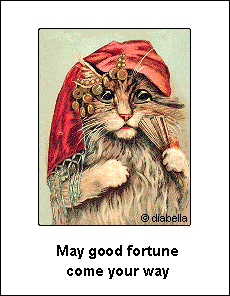 cat graphic