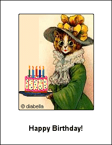 cat graphic