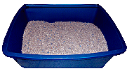 litter box