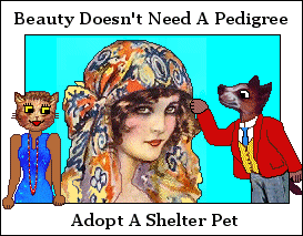 Beauty Doesn't Need A Pedigree...