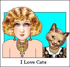 I love cats