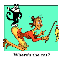 Where's the cat?