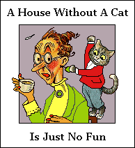 A House Without a Cat is just no fun