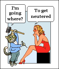 I'm going where? To get neutered.