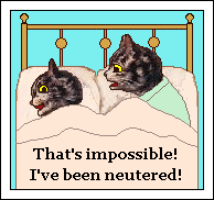 That's impossible! I've been neutered!