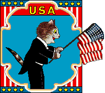 USA: Cat holding Flag