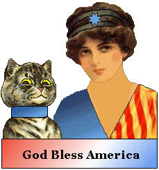 Cat and woman in flag dress Patriotic Cat graphic