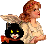 Angel - black cat