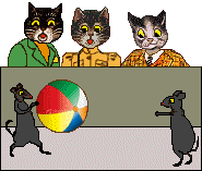 Cats watch in disbelief as mice play ball