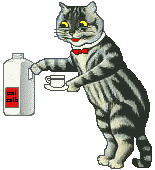 cat shakes container of milk