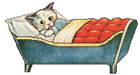 cat bed with 5 tiny kittens
