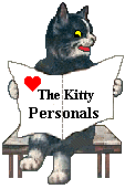 Animated male cat reading kitty personals spots lady cat