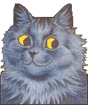 grey cat