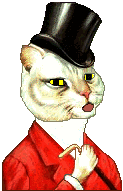 Animated cat in tophat