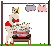 adorable cat in red dress washing clothes