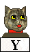Y