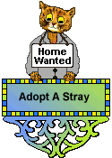 Cat Blinkie: Homeless Harry the cat asks for a home