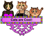Cat Blinkie - Jasmine, Miss Tubbs and Little Lucy the cats