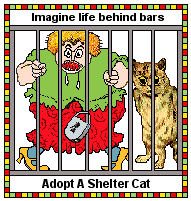 Cat Blinkie - Fritz the cat - Imagine life behind bars