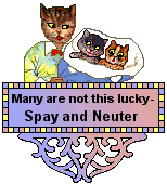 Cat Blinkie - Momma cat and babies - Many are not this lucky