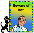 Cat Blinkie - Beware of vet