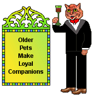 Cat Blinkie - Mr. Wrong the cat and sign