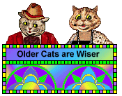 Cat Blinkie - Pudgy and Miss Tubbs the cats - Older cats are wiser