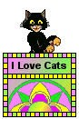 Cat Blinkie - I Love Cats