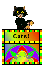 Cat Blinkie - Cats