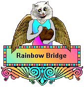 Cat Blinkie - Angelina the Rainbow Bridge Angel Cat