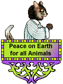 Cat Blinkie - Sleepy the cat - Peace on earth for all animals