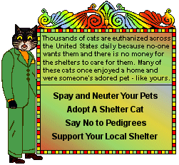 Cat Blinkie - Mayor the cat and large cat welfare sign