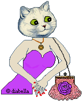 Cat diva Beautiful cat