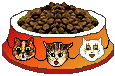 cat bowl-food