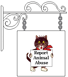 Cat sign: Report Animal Abuse