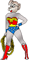 WonderDog
