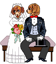 Dog Bride and Groom