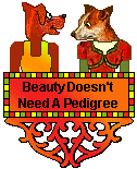 Dog blinkie - Beauty doesn't need a pedigree