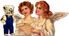 Angels and tabby cat