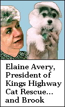 Elaine and Brook
