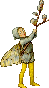 The Pussy Willow Fairie
