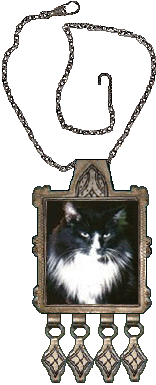 Dracula the cat in necklace frame