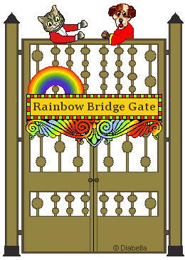 Rainbow Bridge gate