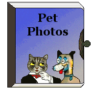 Cat and Dog photo album