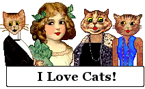 Tux, Miss Tubbs, Maybelline and beautiful girl: I Love Cats