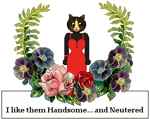 Cat sign: I Like Them Handsome, and Neutered