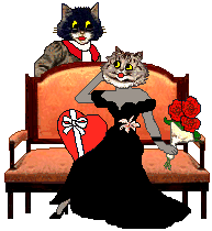 Magnolia: Don't Declaw