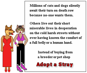 Adopt a stray