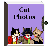 Photo album - 3 dressed cats on cover
